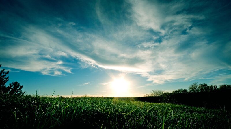 Sunrise over Grass Field — Trees