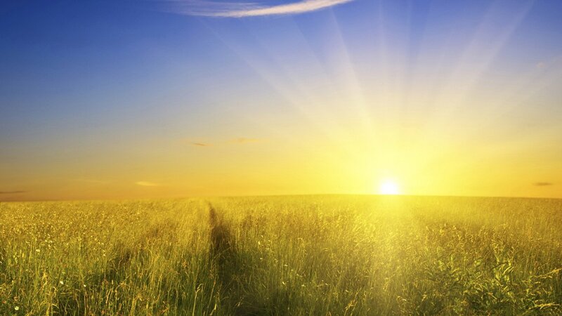 Sunrise over Grass Field — Yellow