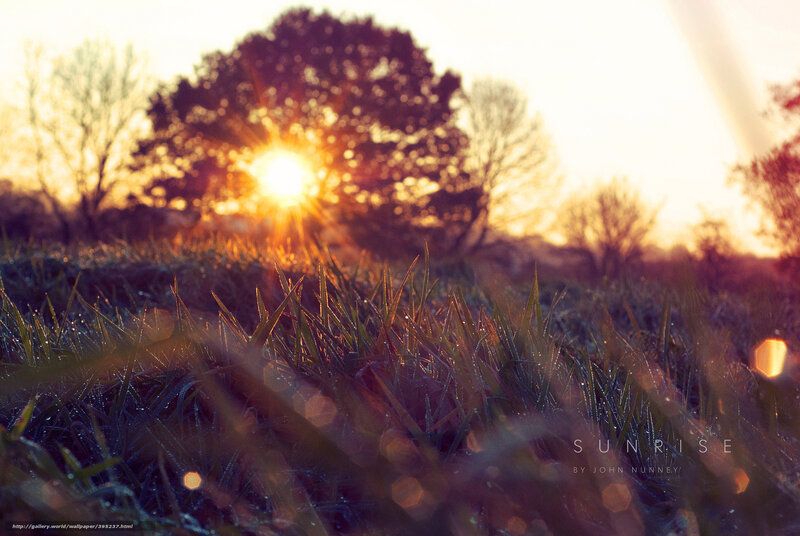 Sunrise over Grass — Green