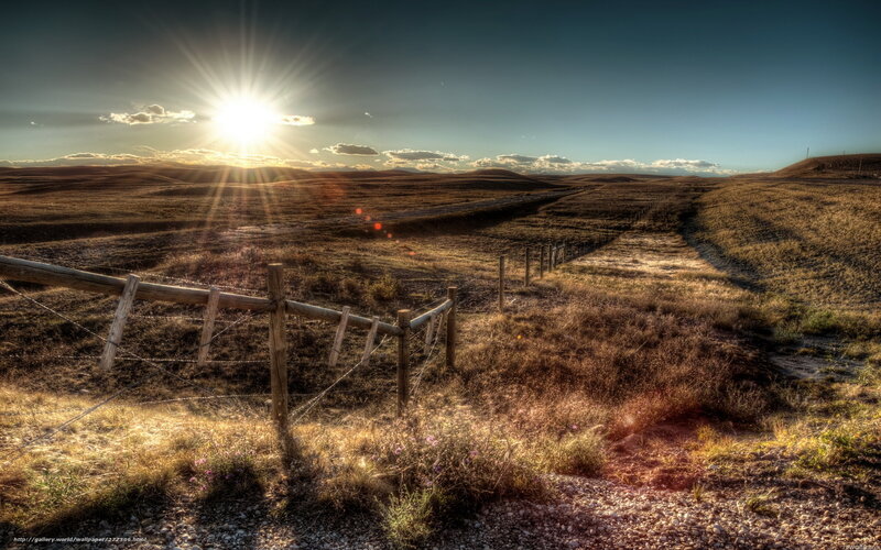 Sunrise over Grassland — Brown