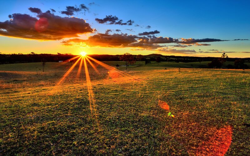 Sunrise over Grassy Field — Blue, Dramatic