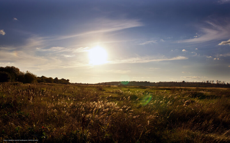 Sunrise over Grassy Field — Blue, Serene, Photograph, Sky, Clouds