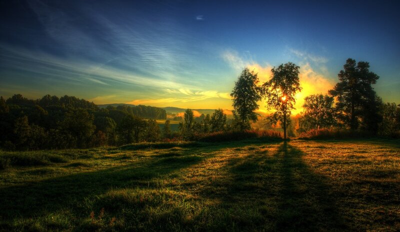 Sunrise over Grassy Field — Blue, Serene