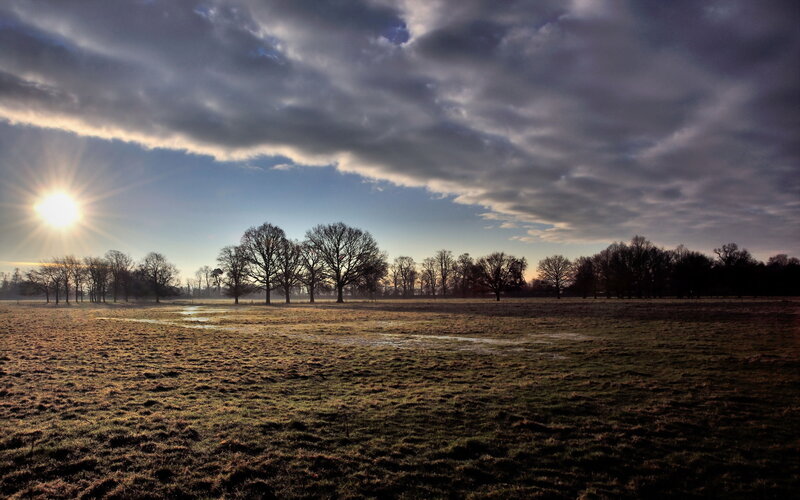 Sunrise over Grassy Field — Blue