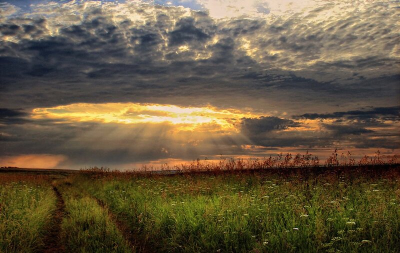 Sunrise over Grassy Field — Green, Dramatic, Photograph, Clouds