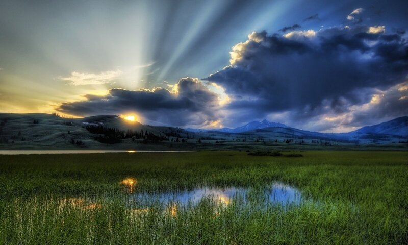 Sunrise over Grassy Field — Green, Dramatic