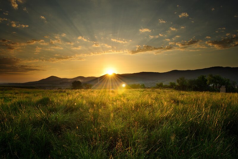 Sunrise over Grassy Field — Green, Serene, Sunset, Photograph