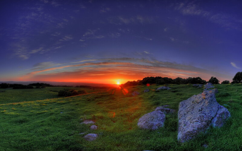 Sunrise over Grassy Field — Green, Serene
