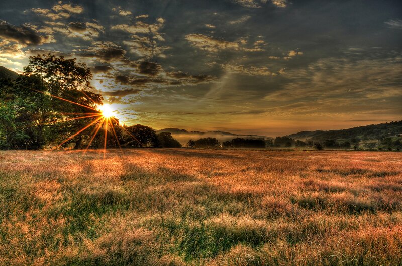Sunrise over Grassy Field — Orange, Dramatic, Photograph