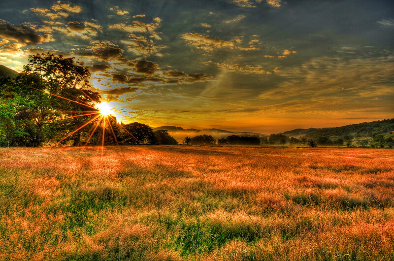 Sunrise over Grassy Field — Orange