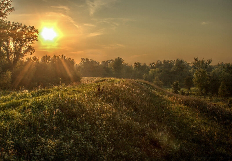 Sunrise over Grassy Field — Yellow