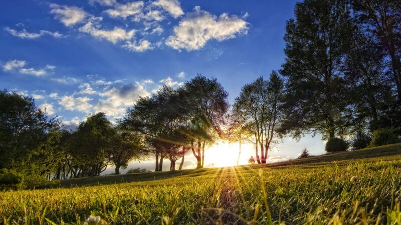 Sunrise over Grassy Hill — Blue, Serene