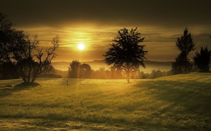 Sunrise over Grassy Hill — Gold, Serene, Photograph