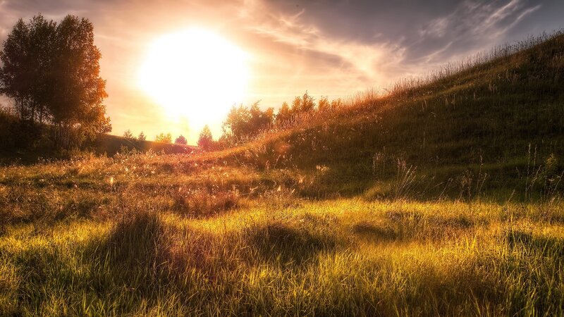 Sunrise over Grassy Hill — Gold, Serene
