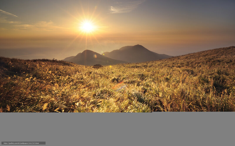 Sunrise over Grassy Hills — Gold, Serene, Photograph, Mountains