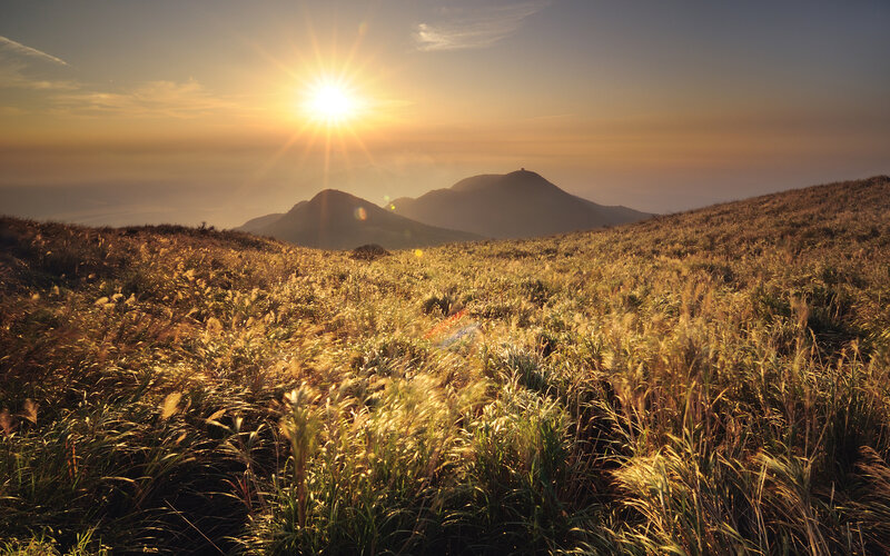 Sunrise over Grassy Hills — Gold, Serene