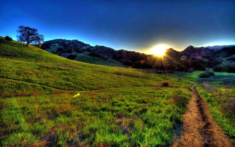 Sunrise over Grassy Hills — Green