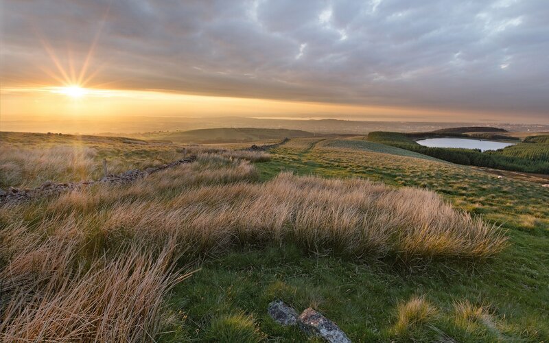 Sunrise over Grassy Hills — Yellow