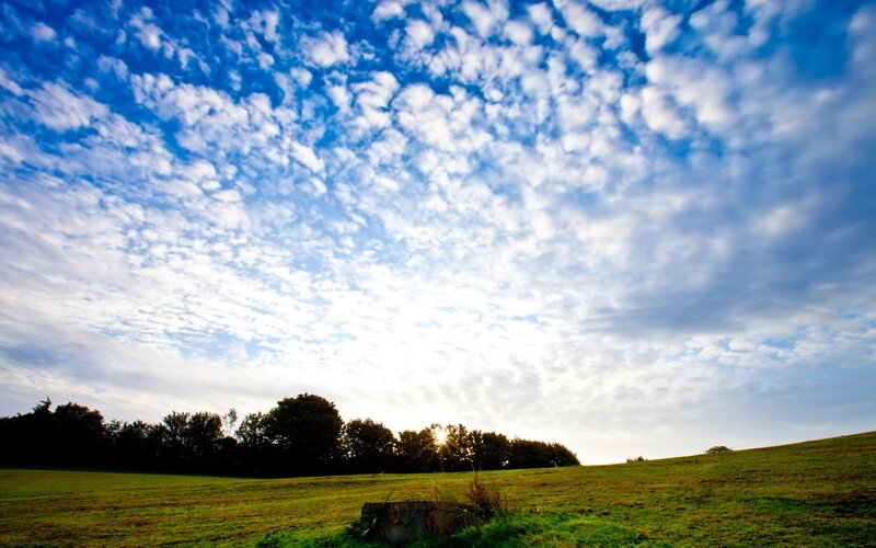 Sunrise over Green Field — Blue