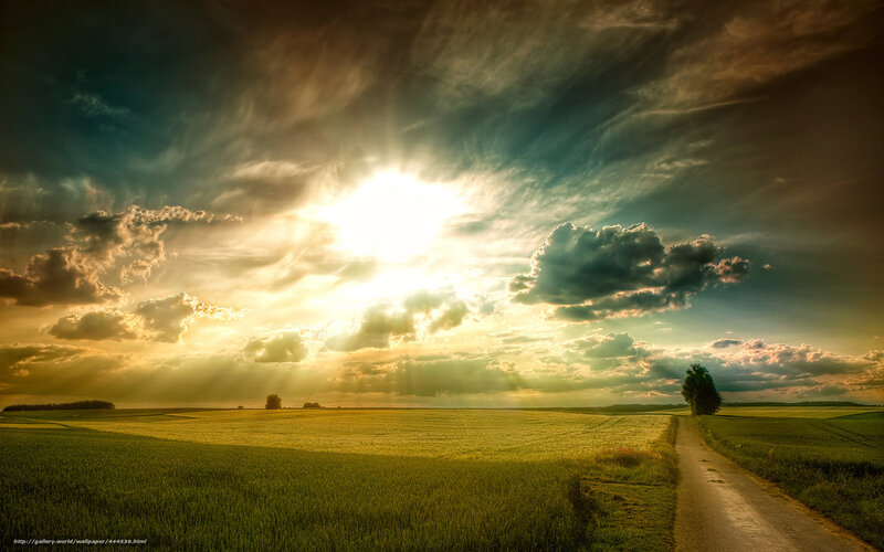 Sunrise over Green Field — Dramatic, Photograph, Clouds, Path, Tree