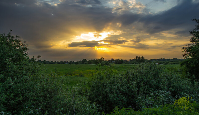 Sunrise over Green Field — Dramatic, Photograph, Clouds, Trees