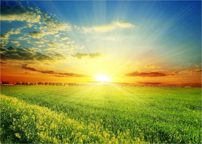 Sunrise over Green Field — Serene, Photograph
