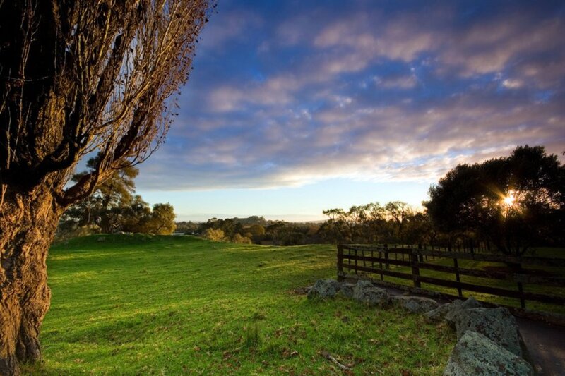 Sunrise over Green Field — Serene