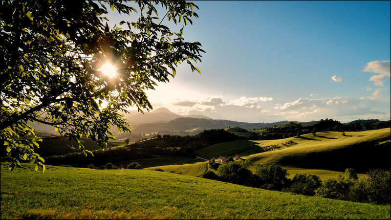 Sunrise over Green Hills — Serene, Photograph, Trees