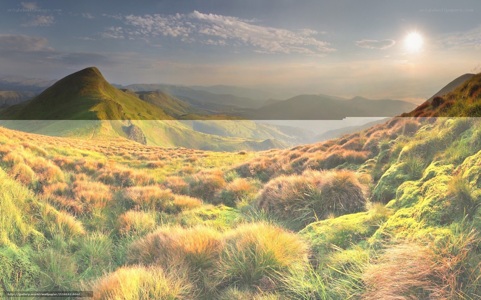 Sunrise over green hills