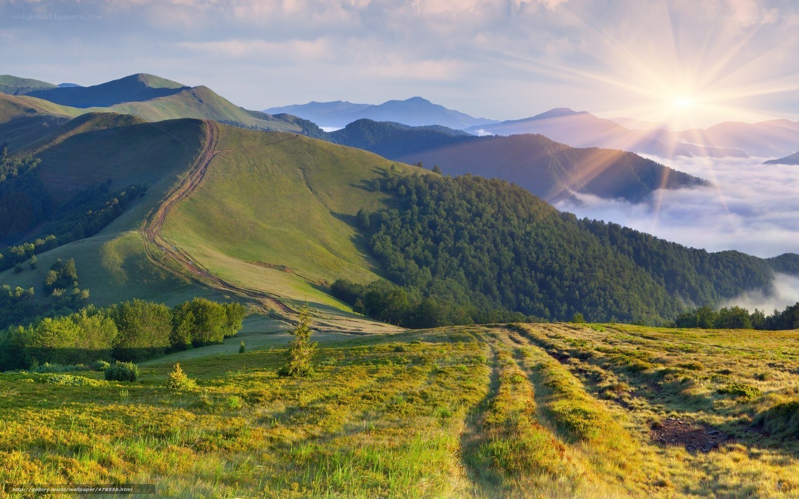 Sunrise over green mountains
