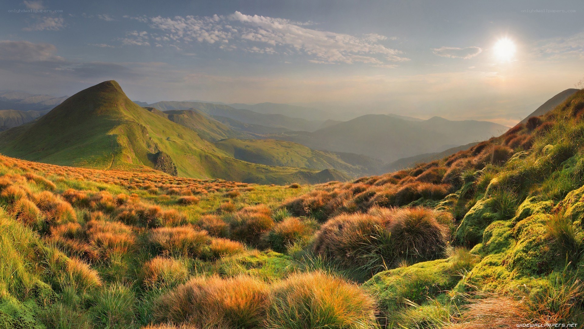 Sunrise over green mountains