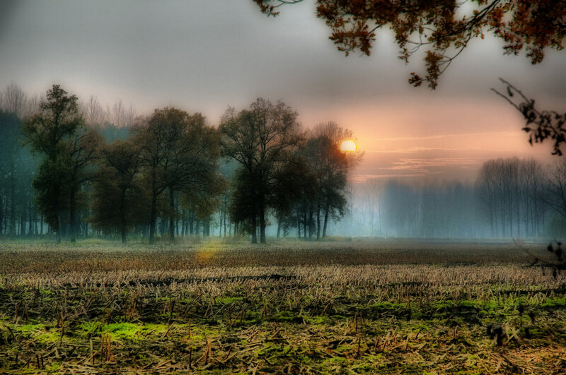 Sunrise over Harvested Field