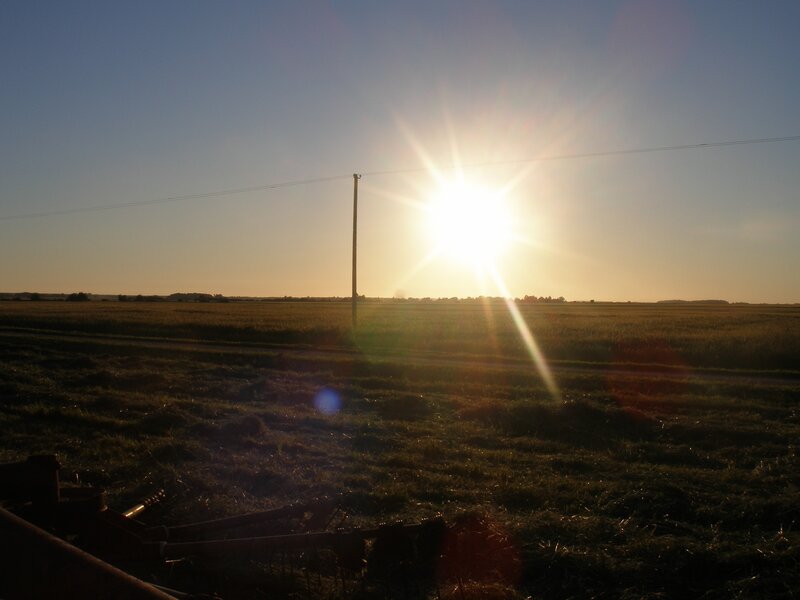 Sunrise over Harvested Field — Yellow