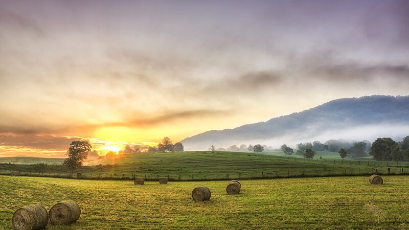 Sunrise over hay bales in a field