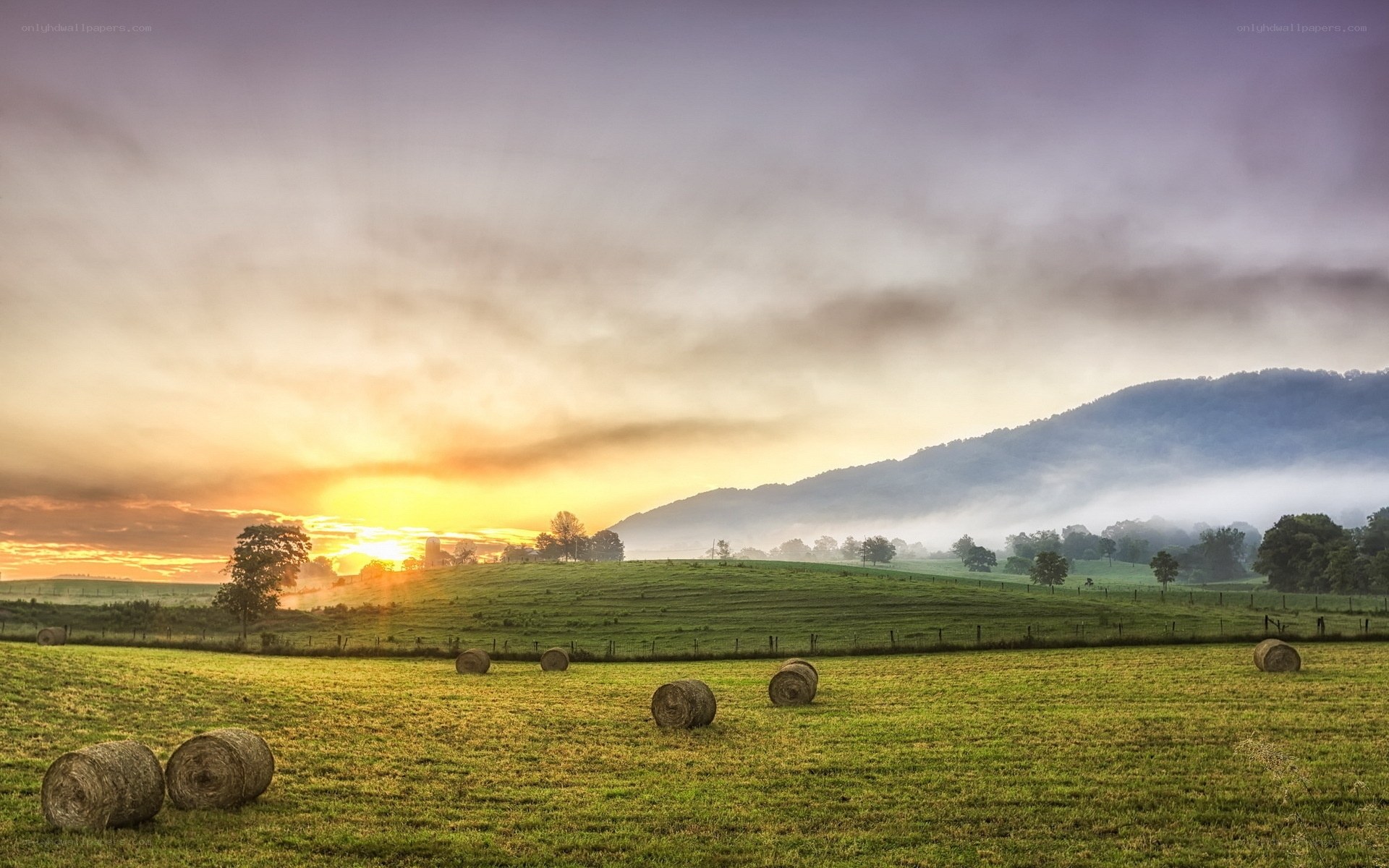 Sunrise over hay bales