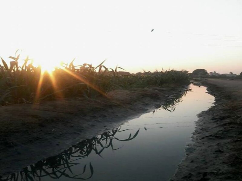 Sunrise over Irrigation Ditch
