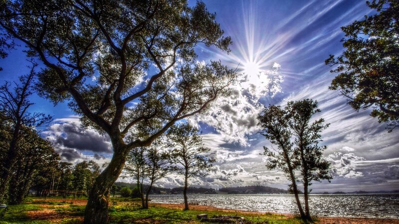 Sunrise over Lake — Blue, Dramatic, Morning, Photograph, Trees