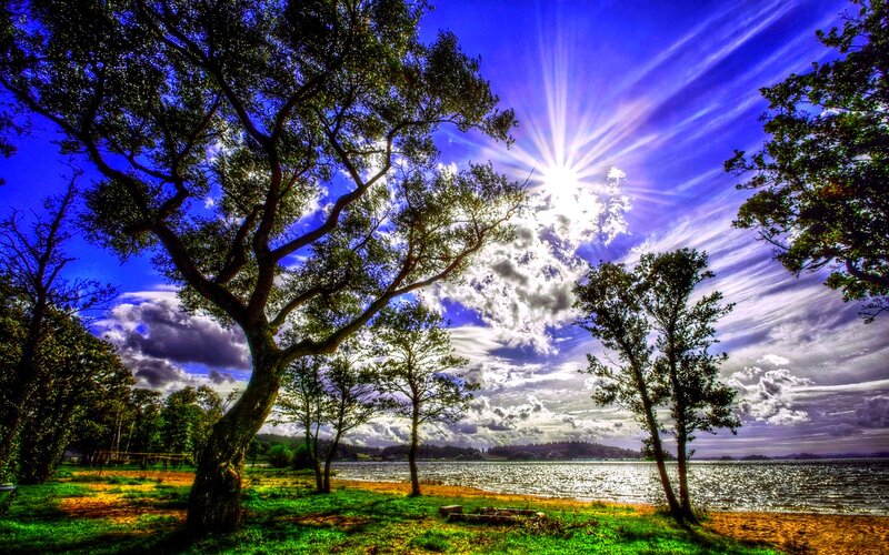 Sunrise over Lake — Blue, Dramatic, Photograph, Trees