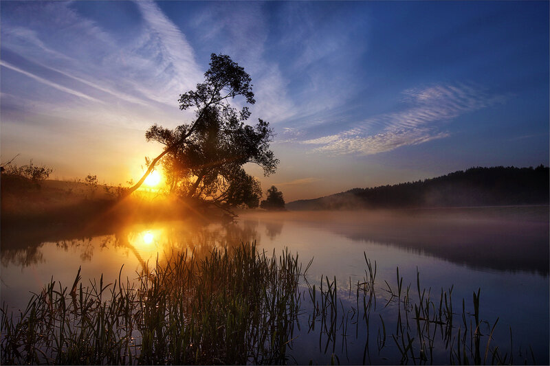 Sunrise over Lake — Blue, Serene, Photograph, Tree