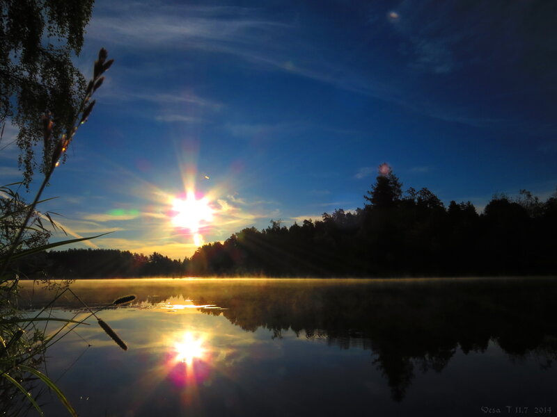 Sunrise over Lake — Blue, Serene, Photograph, Trees, Mist