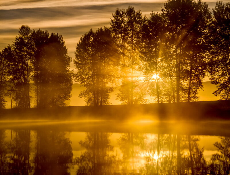 Sunrise over Lake — Gold, Serene, Photograph