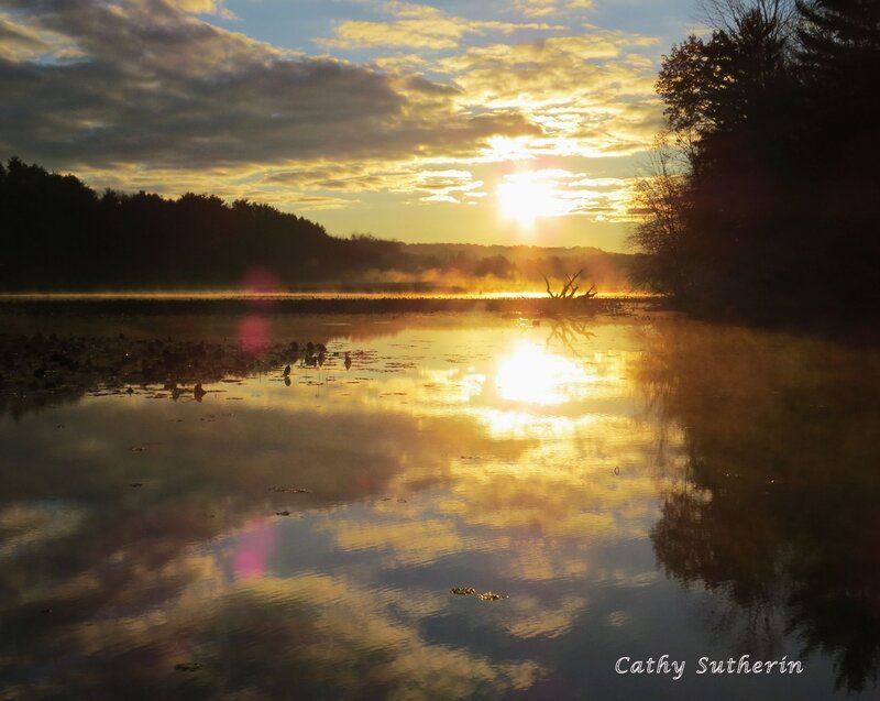 Sunrise over Lake — Gold, Serene, Photograph, Trees