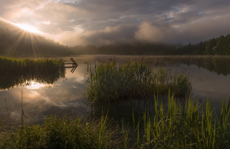 Sunrise over Lake — Green, Serene, Photograph