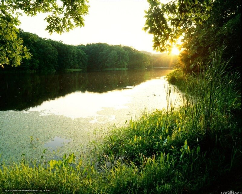 Sunrise over Lake — Green, Serene