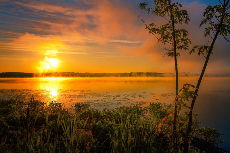 Sunrise over Lake — Orange, Serene, Photograph, Trees, Fog