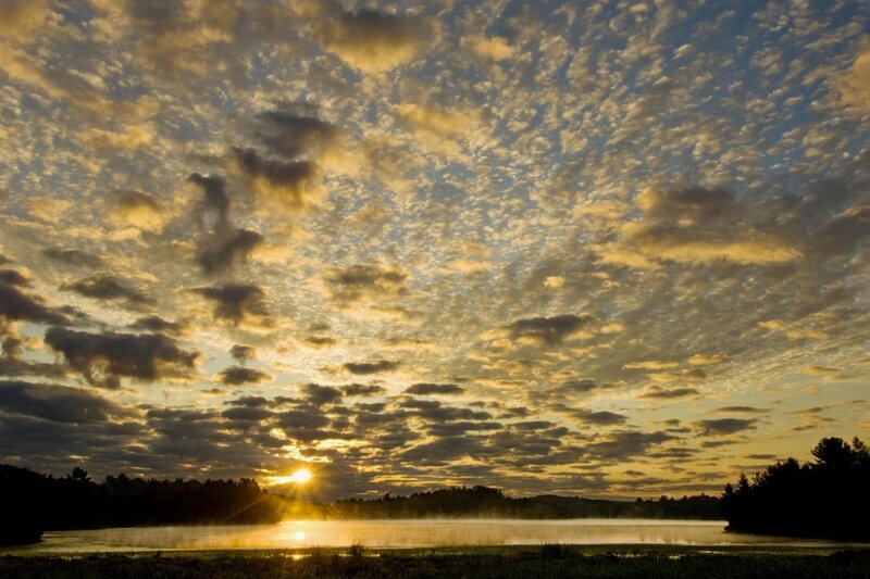 Sunrise over Lake — Yellow, Serene, Photograph, Clouds, Trees, Mist