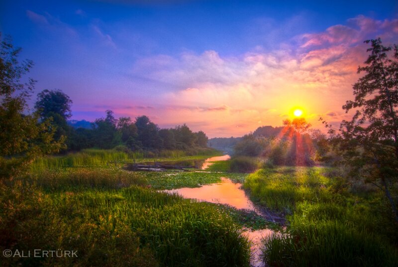 Sunrise over Marsh — Blue
