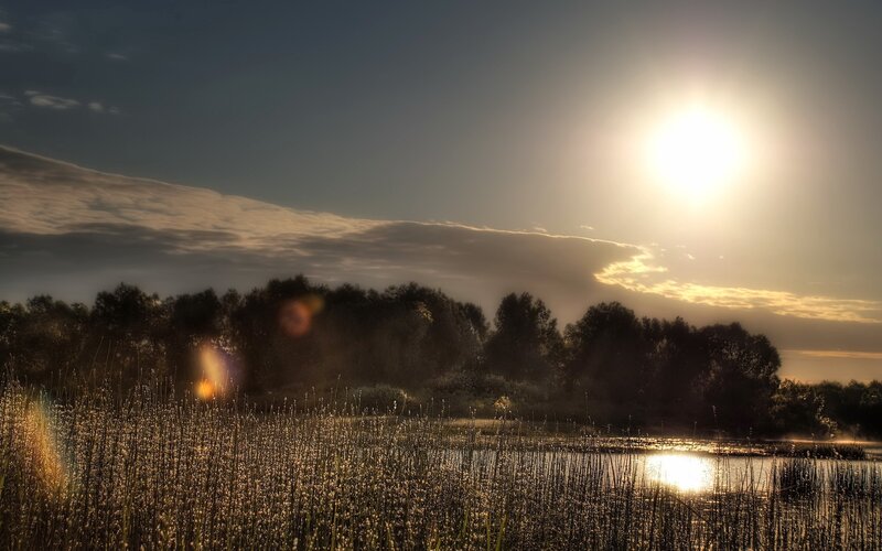 Sunrise over Marsh — Gold, Serene