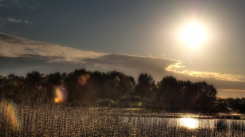 Sunrise over Marsh — Gold