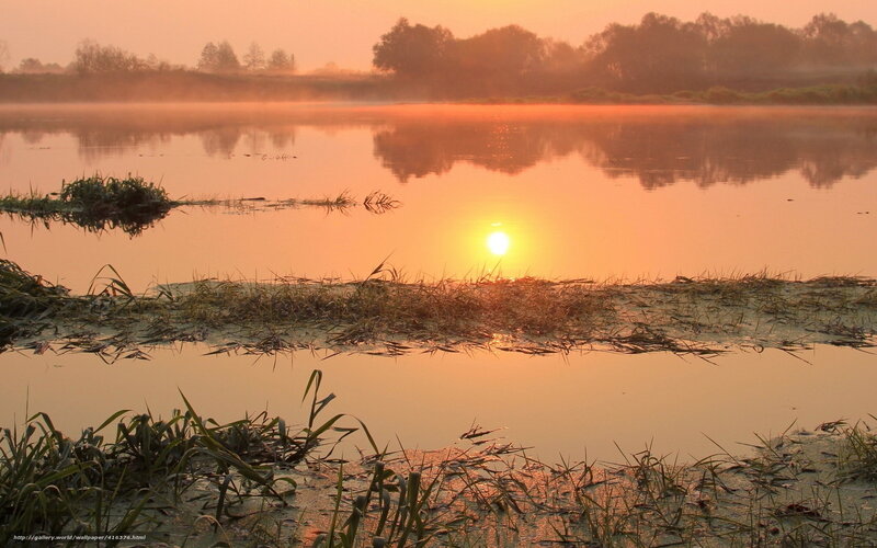Sunrise over Marsh — Orange